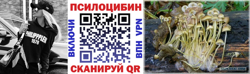 Галлюциногенные грибы мухоморы  Мамоново 